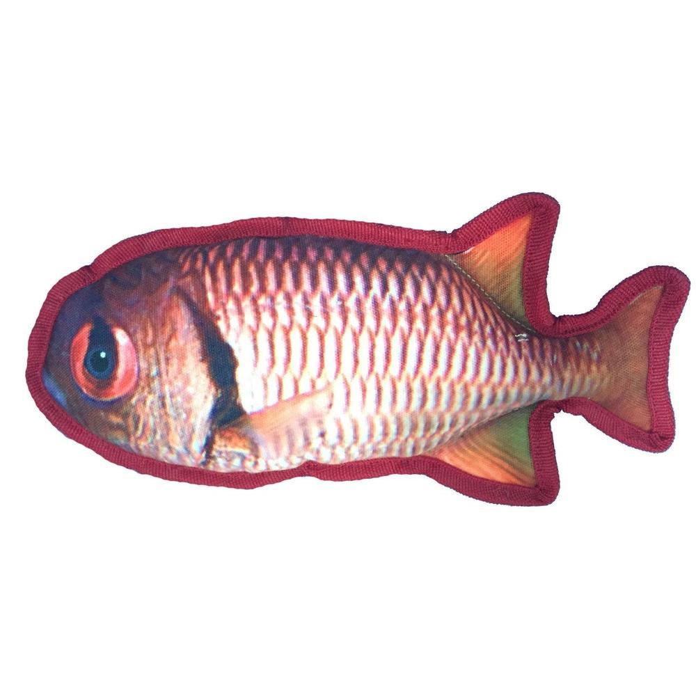 11" Tropical Snapper Dog Fish Toy — Dogline