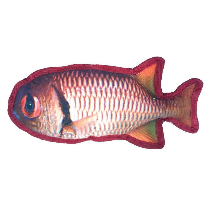11" Tropical Snapper Dog Fish Toy