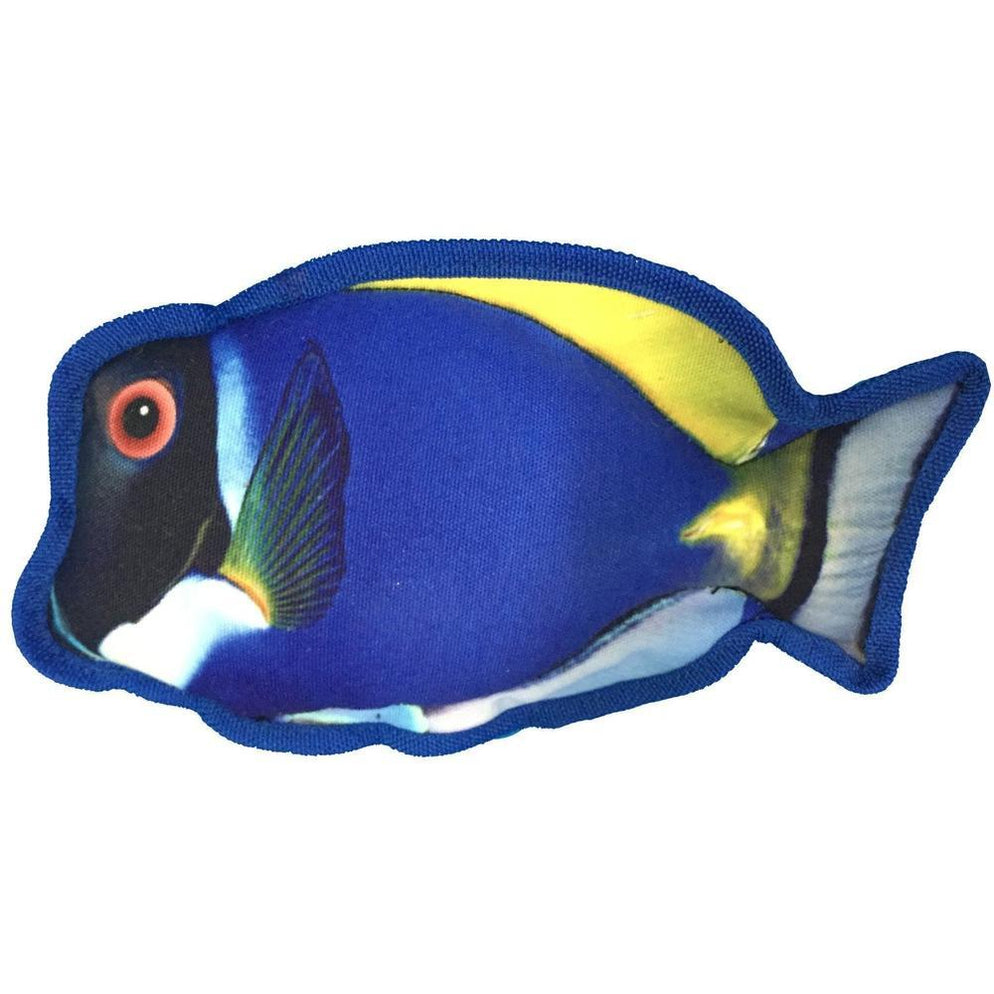10" Tropical Blue Tang Dog Fish Toy — Dogline