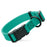 Teal dog collar with black quick release buckle and metal D-ring, adjustable, 3/4- or 1-inch wide, made from waterproof Biothane