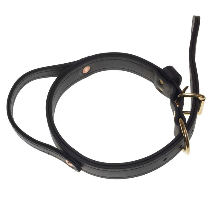 Viper Biothane Working Dog Collar + Built-in Handle - Brass Hardware